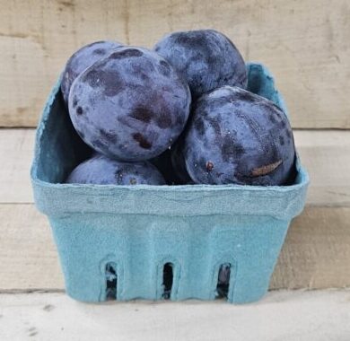 Italian Plums - Round