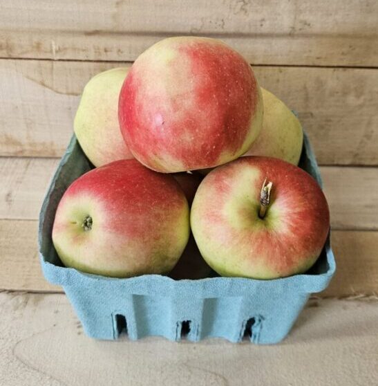 Sansa Apples
