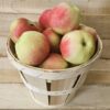 Sansa Apples