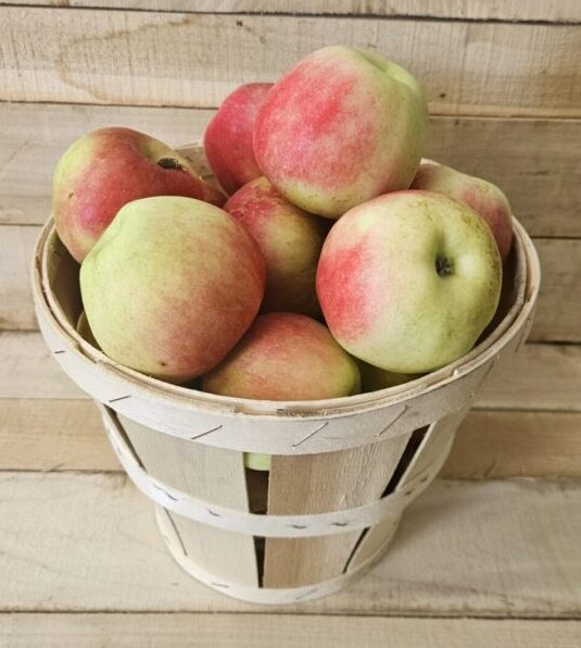 Sansa Apples