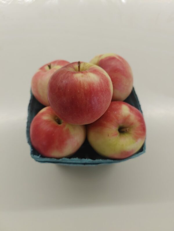Five red-yellow apples in blue carton