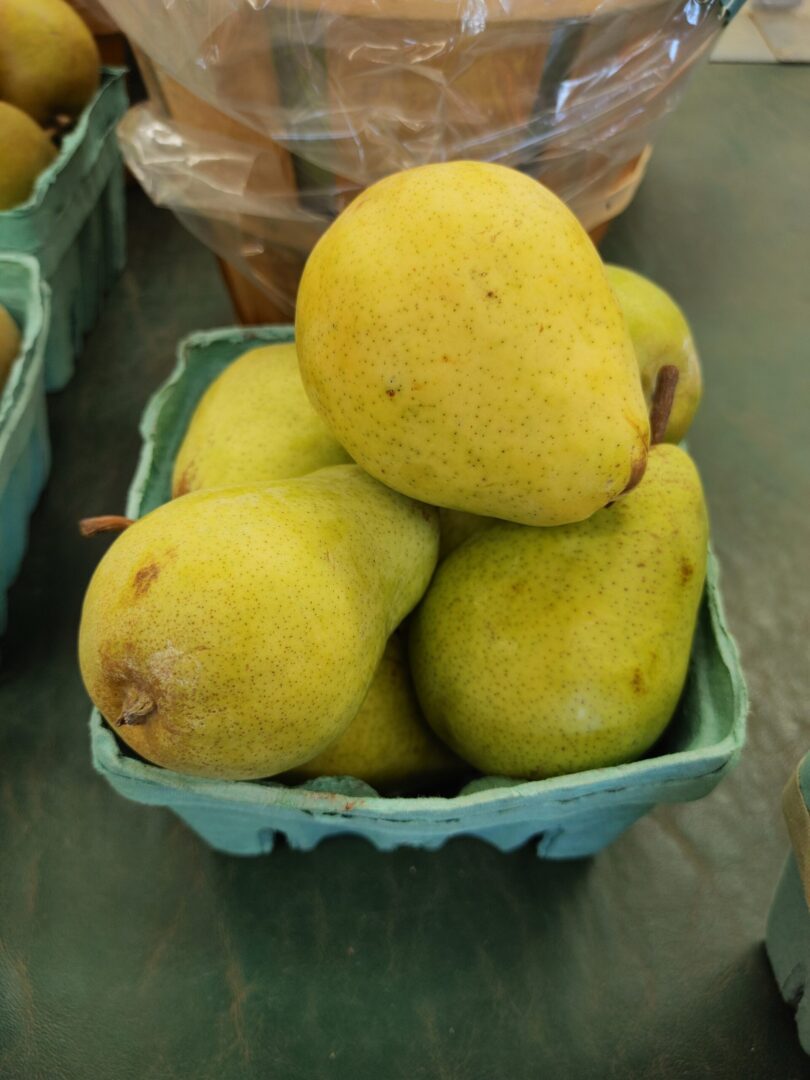 Four green pears in a teal produce carton