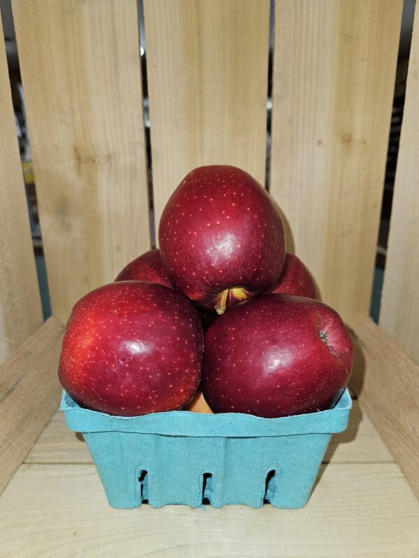 Shiny red apples stacked in blue carton