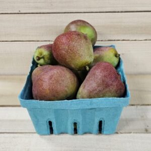 Sugar Pears