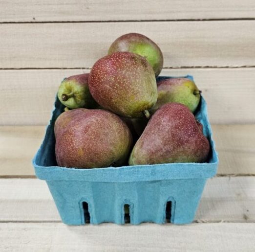 Sugar Pears