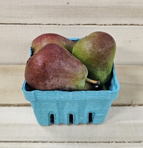 Sugar Pears