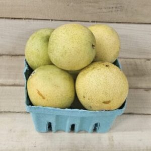 Asian Pears