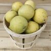 Asian Pears