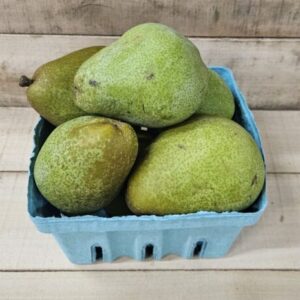 Magness Pears