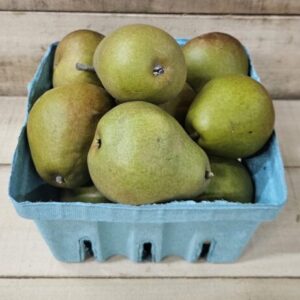20260830_154109 Seckel Pears