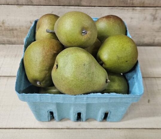 20260830_154109 Seckel Pears