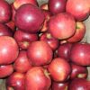 Fresh glossy red apples in wooden crate