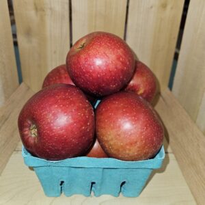 Red apples piled in teal produce basket
