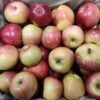 Fresh mixed red and green apples in box