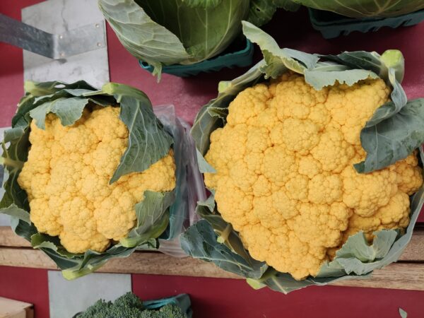 Two golden cauliflower heads with green leaves