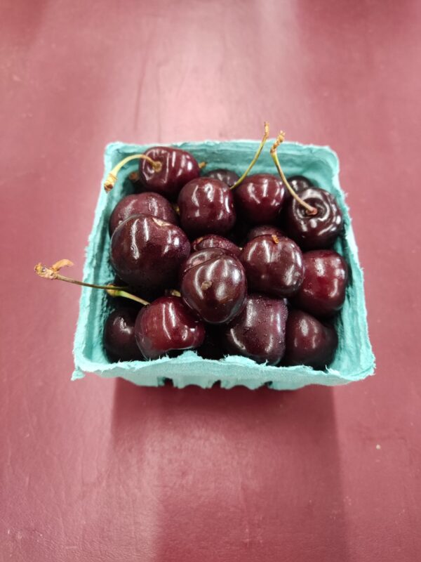 Small teal basket filled with ripe cherries