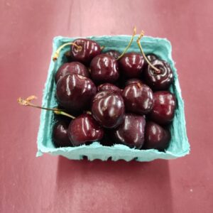 Small teal basket filled with ripe cherries Small teal basket filled with ripe cherries