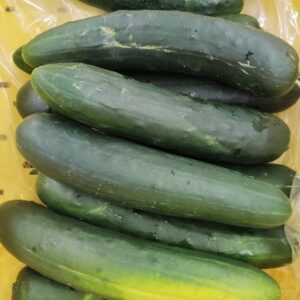 Stack of long fresh green cucumbers Stack of long fresh green cucumbers