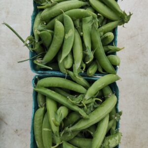 Two cartons of fresh green pea pods
