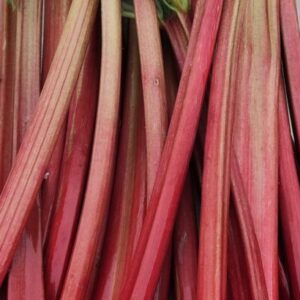 Fresh red rhubarb stalks on table