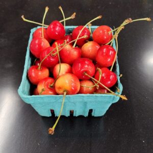 Small teal carton of ripe red cherries