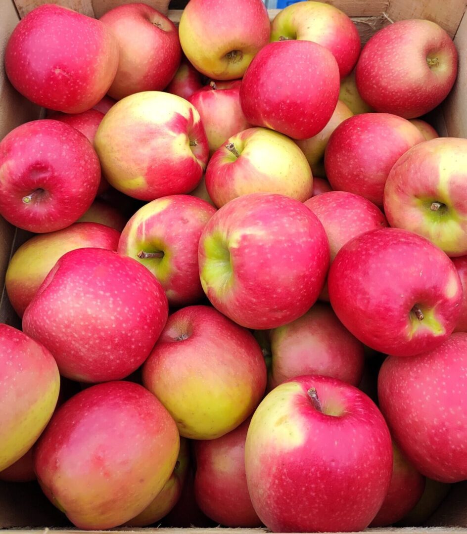 Box of red and yellow apples