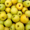 Wooden crate of fresh yellow-green apples