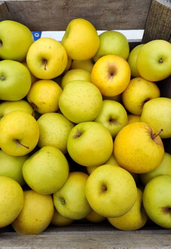 Wooden crate of fresh yellow-green apples