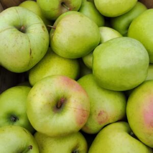 Fresh green apples in wooden crate Fresh green apples in wooden crate
