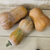 Three butternut squashes on wooden surface.