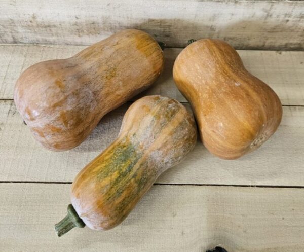 Three butternut squashes on wooden surface.