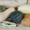 Assorted squash varieties on wooden surface.