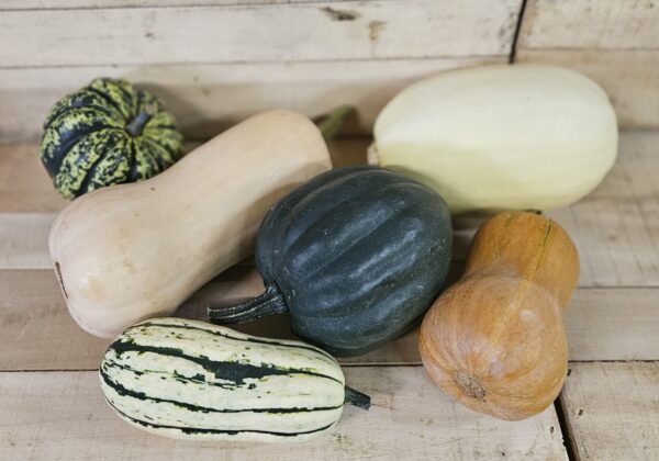Assorted squash varieties on wooden surface.