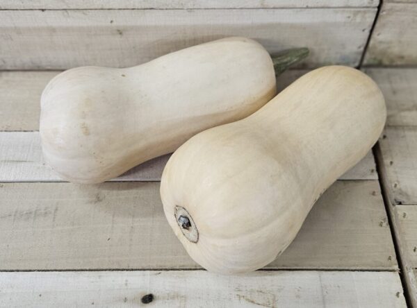 Two pale butternut squashes on wooden surface.