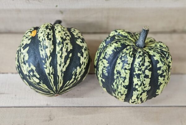 Two striped winter squashes on wooden surface.