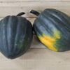 Two acorn squashes on wooden surface.
