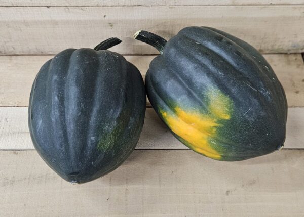 Two acorn squashes on wooden surface.