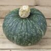 Round green pumpkin on wooden surface.