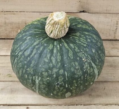 Round green pumpkin on wooden surface.