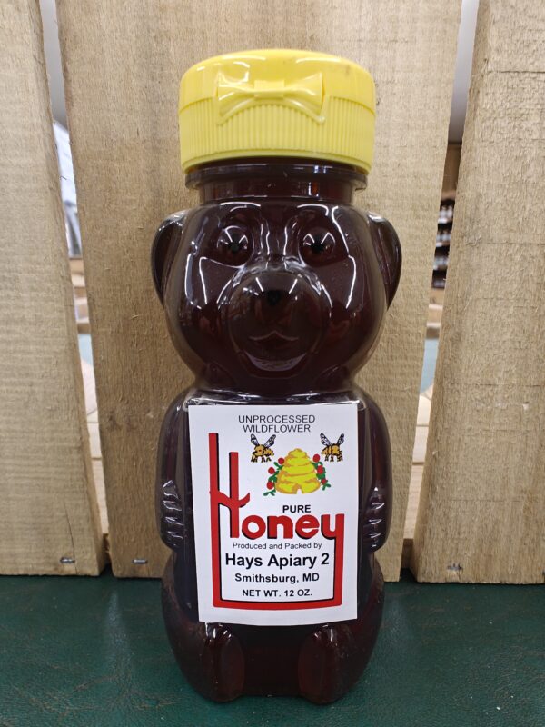 Honey bear squeeze bottle with yellow cap