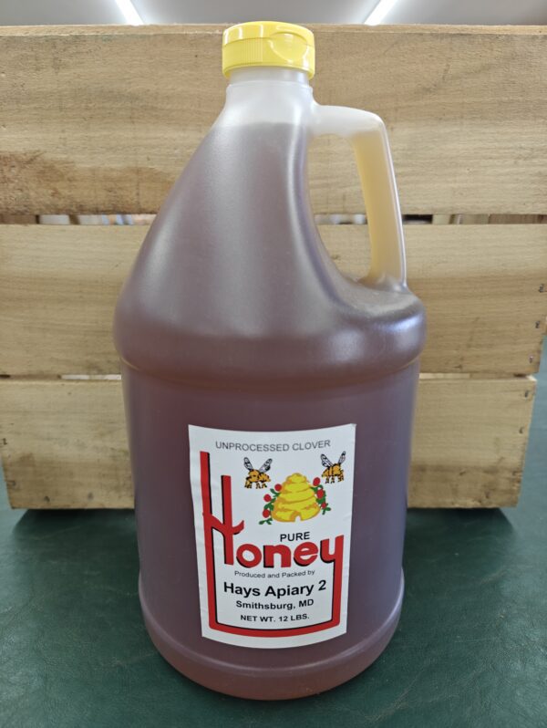Gallon jug of amber clover honey