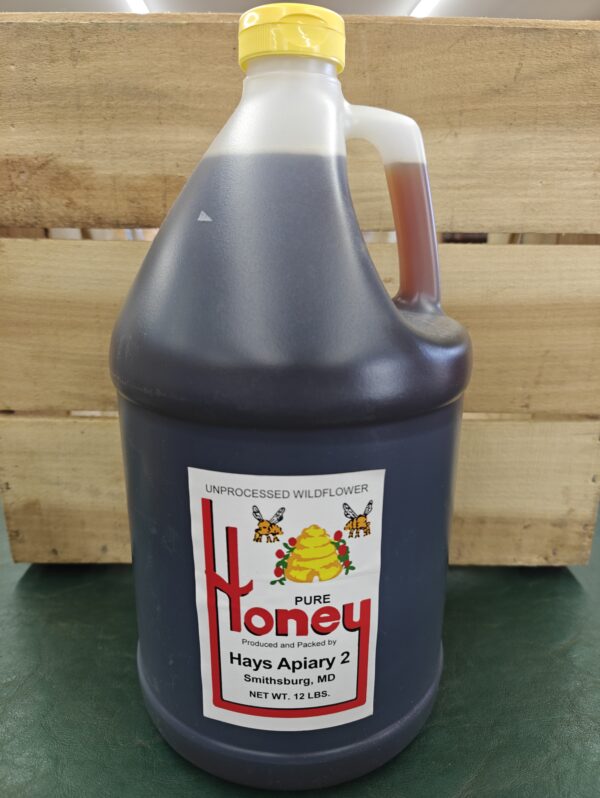 Gallon jug of unprocessed wildflower honey