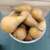 Basket of ripe brown pears