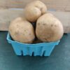 Three russet potatoes in blue basket