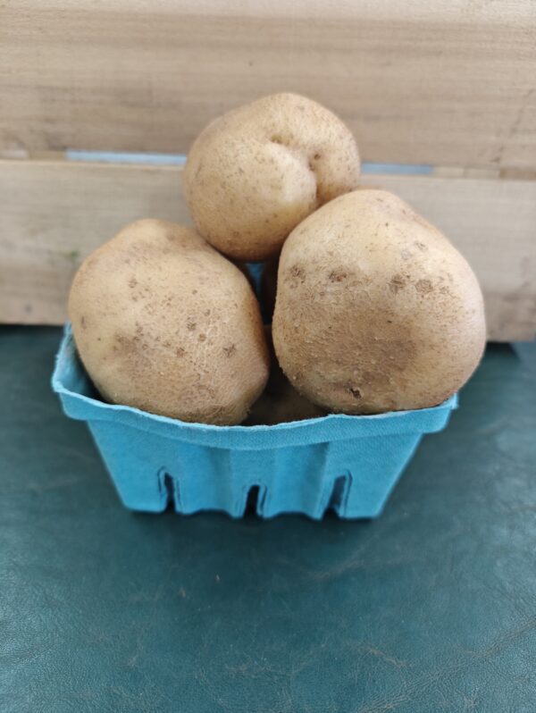 Three russet potatoes in blue basket