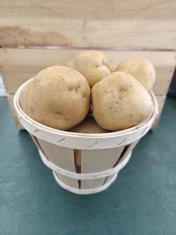 Small wooden basket of fresh potatoes