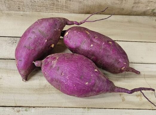 20261005_105737 Sweet Potatoes