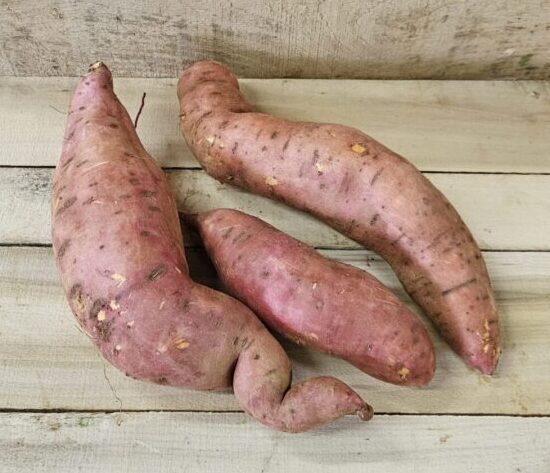 20261005_105752 Sweet Potatoes