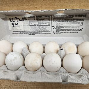 Duck Eggs