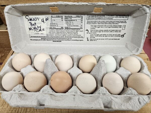 Small but Mighty Chicken Eggs